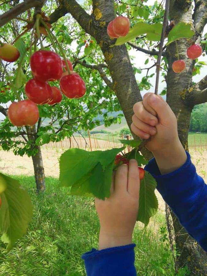 Cascina Valtignosa Camere Con Vigna Cassine Esterno foto
