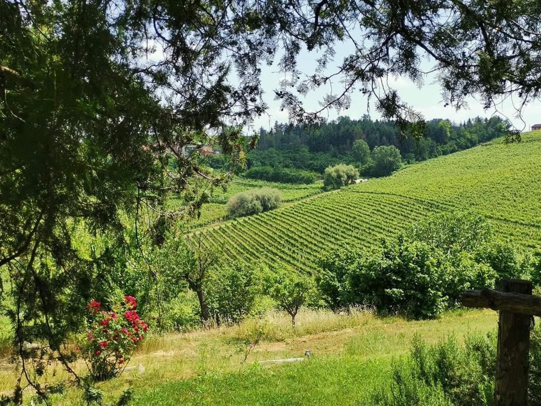 Cascina Valtignosa Camere Con Vigna Cassine Esterno foto