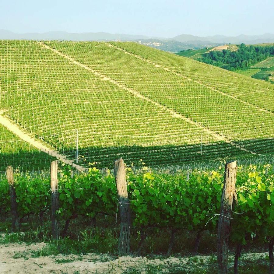 Cascina Valtignosa Camere Con Vigna Cassine Esterno foto