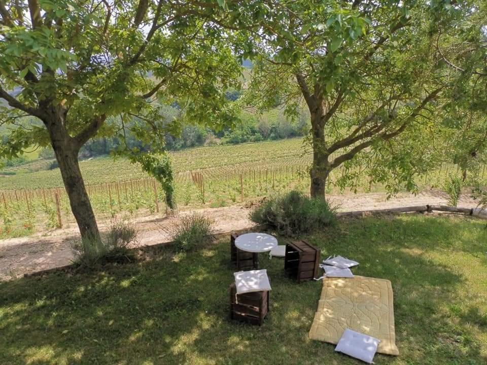Cascina Valtignosa Camere Con Vigna Cassine Esterno foto