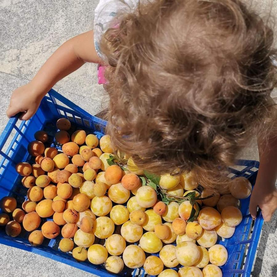 Cascina Valtignosa Camere Con Vigna Cassine Esterno foto