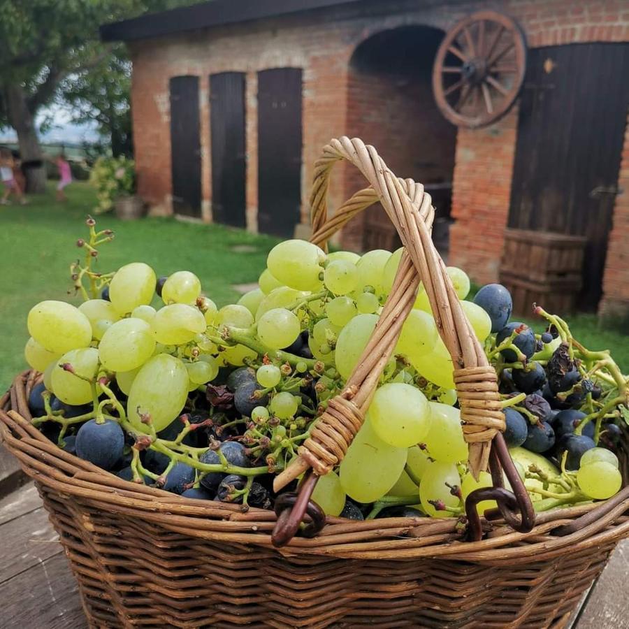 Cascina Valtignosa Camere Con Vigna Cassine Esterno foto