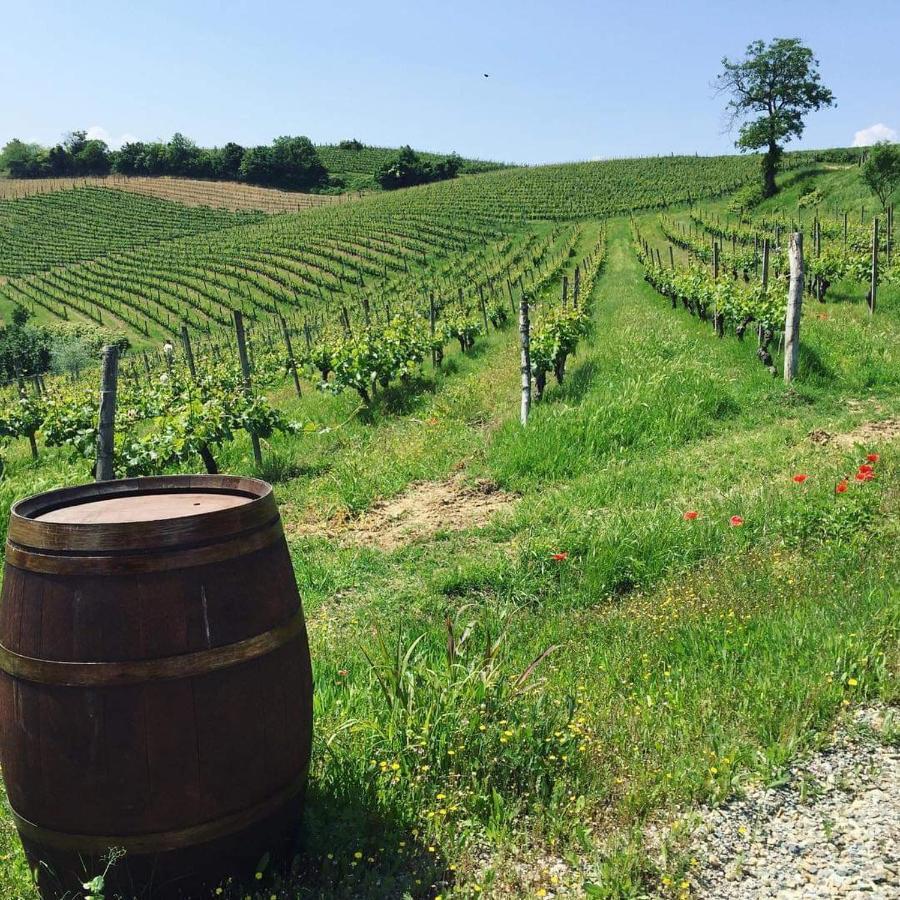 Cascina Valtignosa Camere Con Vigna Cassine Esterno foto