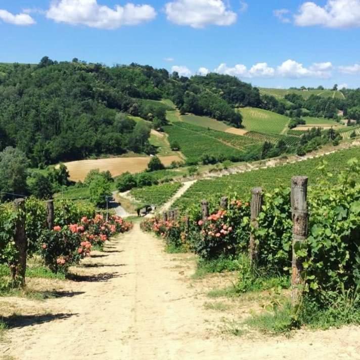 Cascina Valtignosa Camere Con Vigna Cassine Esterno foto