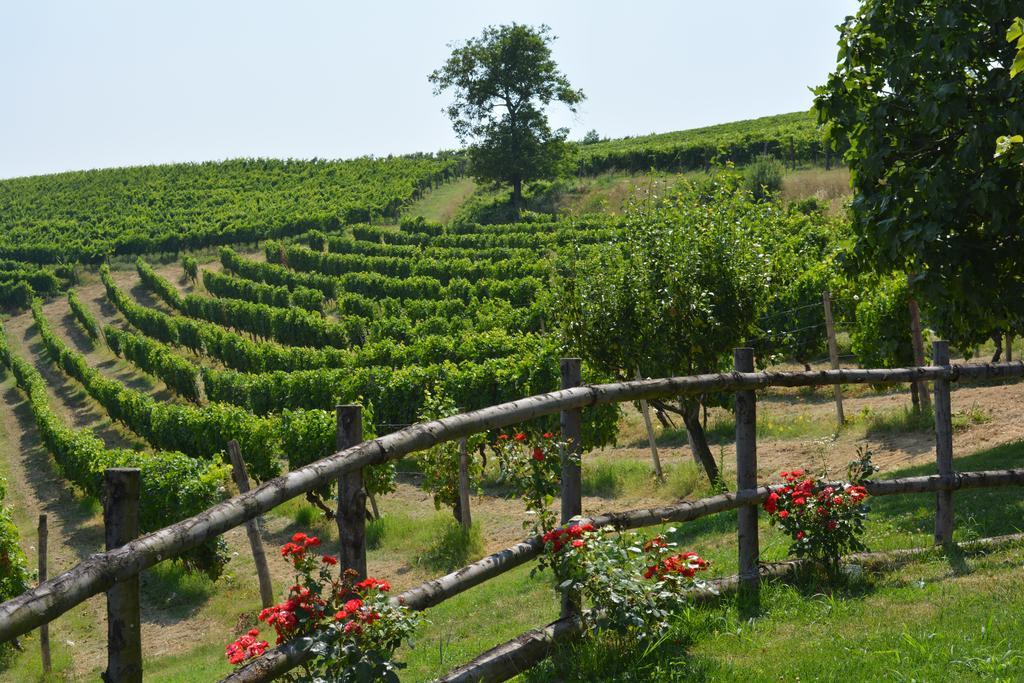 Cascina Valtignosa Camere Con Vigna Cassine Esterno foto