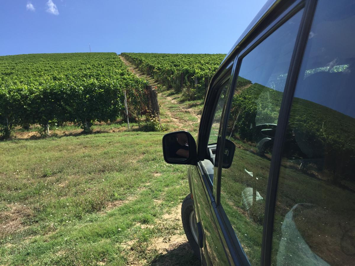 Cascina Valtignosa Camere Con Vigna Cassine Esterno foto