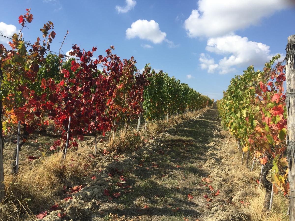 Cascina Valtignosa Camere Con Vigna Cassine Esterno foto